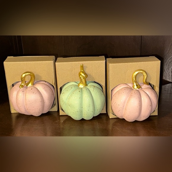 Other - Set of 3 holiday pumpkins